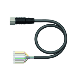 Thumbnail for CKM19-19-2/TXL