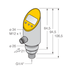 PS100R-304-2UPN8X-H1141